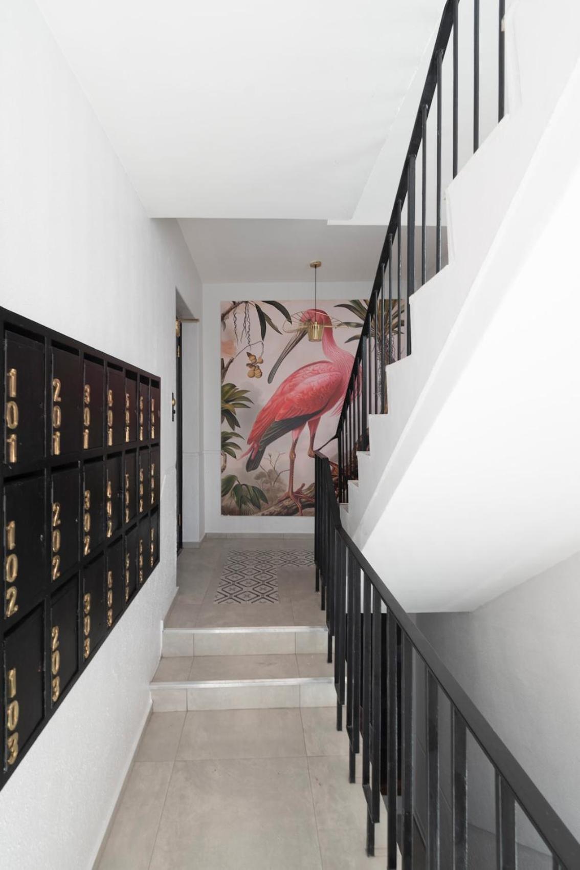 Flamingo On Hope Apartment