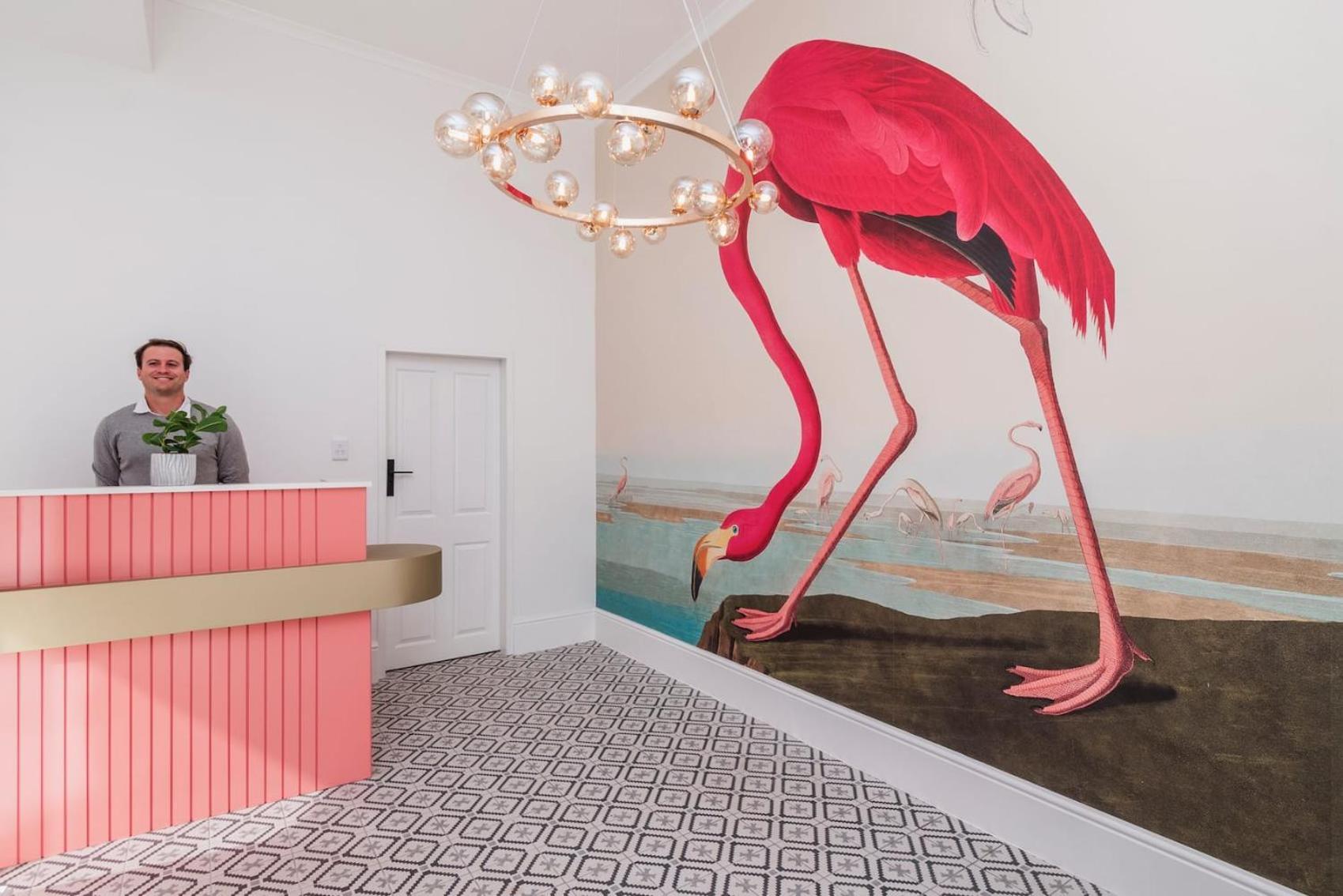 Flamingo On Hope Apartment Cape Town