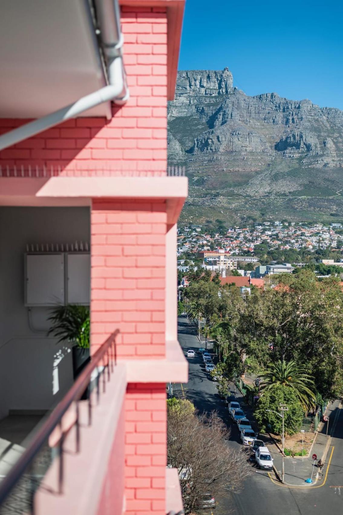 Flamingo On Hope * Cape Town