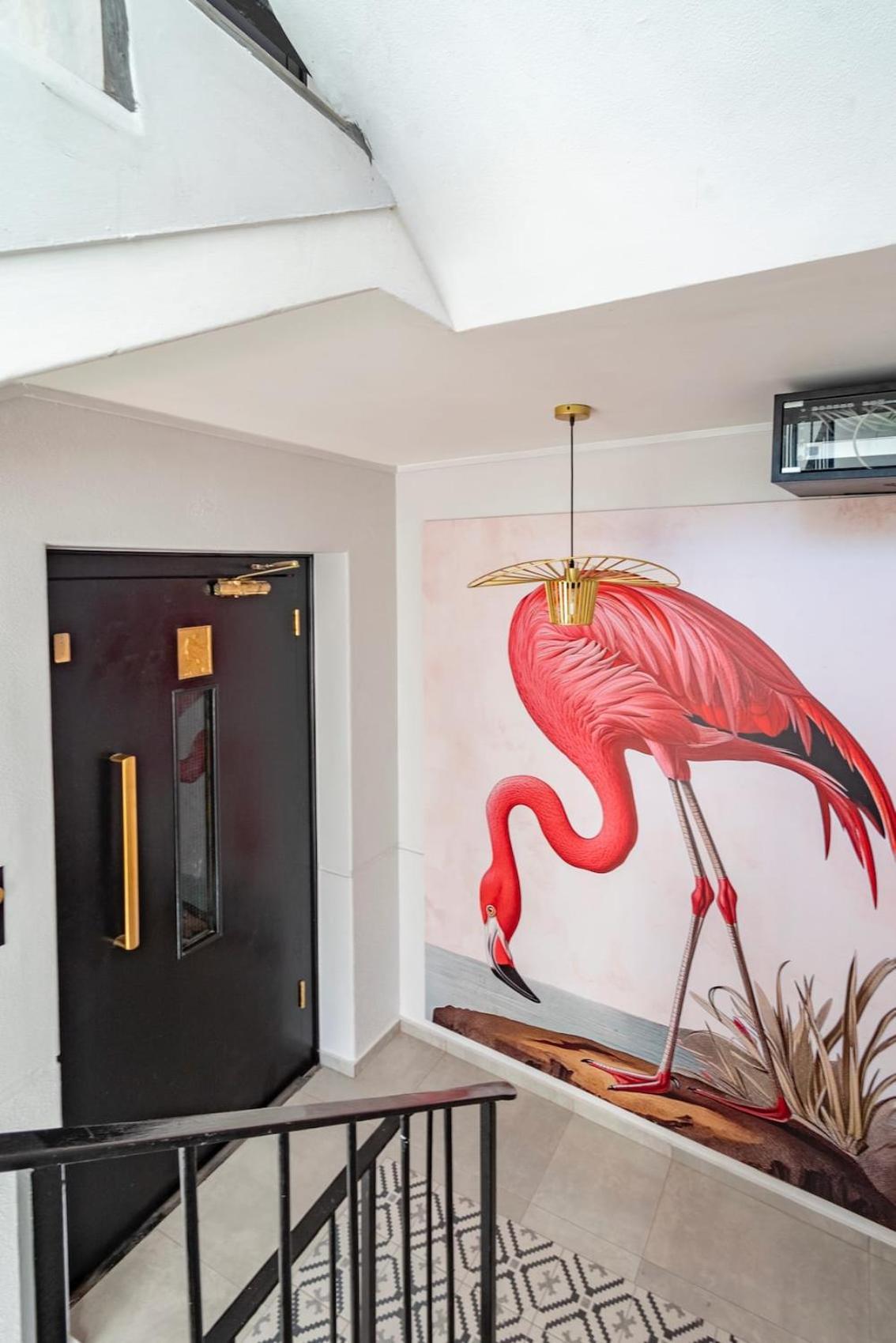 Flamingo On Hope * Cape Town