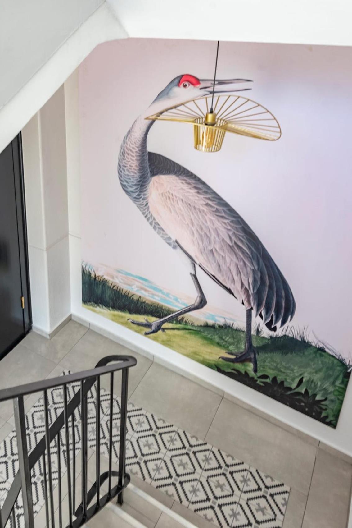 Flamingo On Hope *