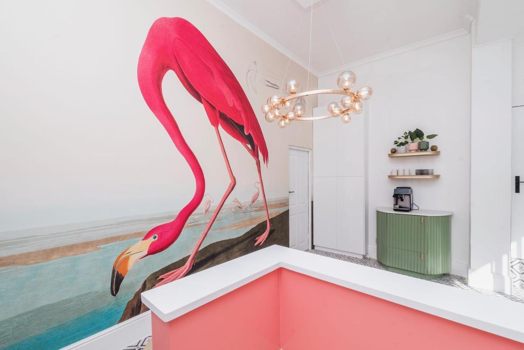Flamingo On Hope Cape Town
